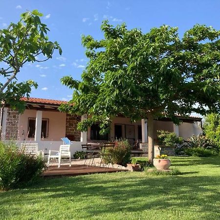Triei Countryside Villa In Sardinia מראה חיצוני תמונה
