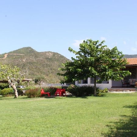Triei Countryside Villa In Sardinia מראה חיצוני תמונה
