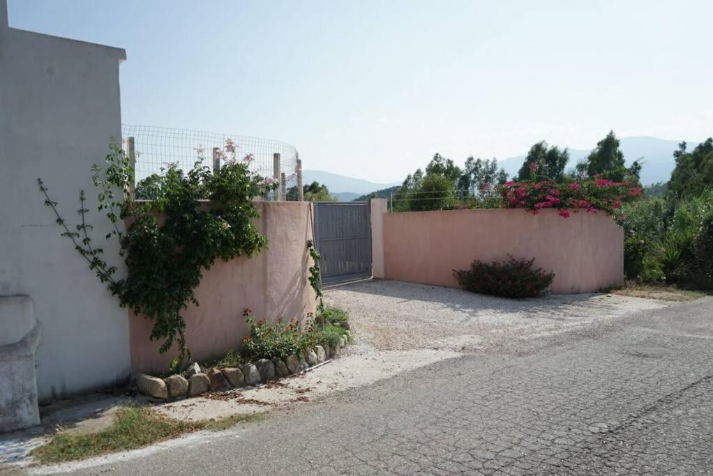 Triei Countryside Villa In Sardinia מראה חיצוני תמונה