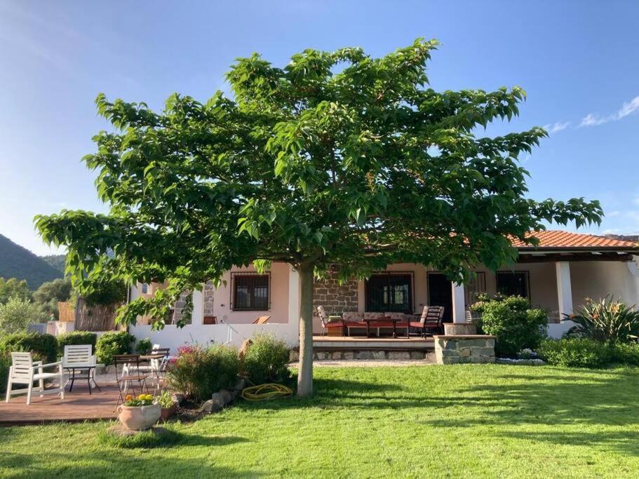 Triei Countryside Villa In Sardinia מראה חיצוני תמונה