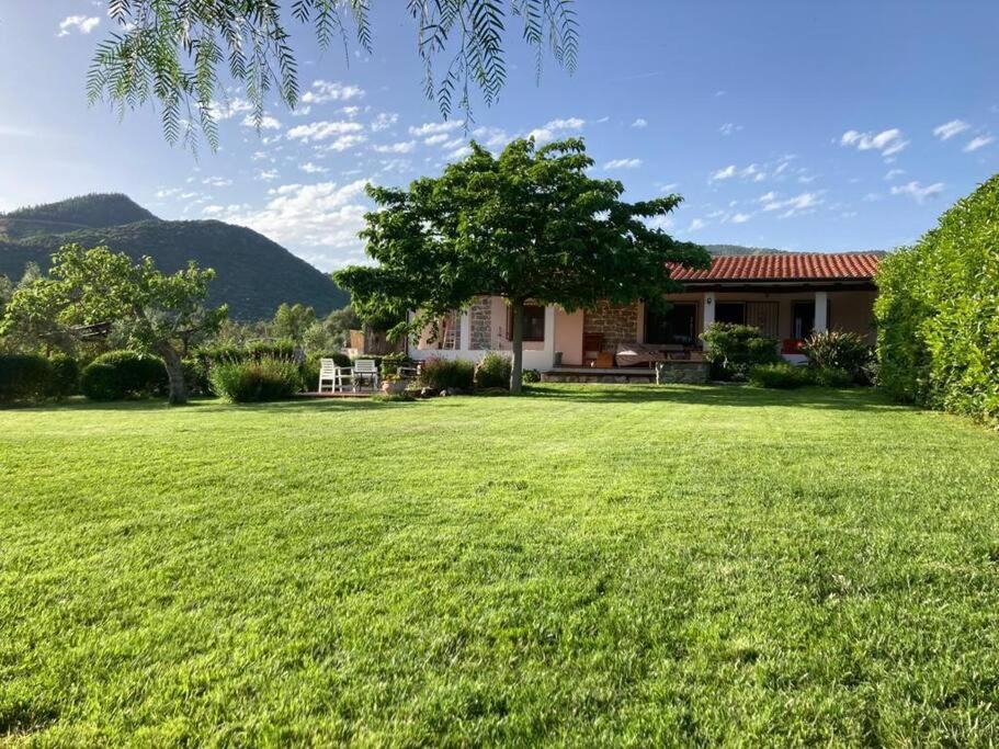 Triei Countryside Villa In Sardinia מראה חיצוני תמונה