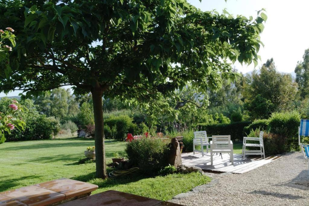Triei Countryside Villa In Sardinia מראה חיצוני תמונה